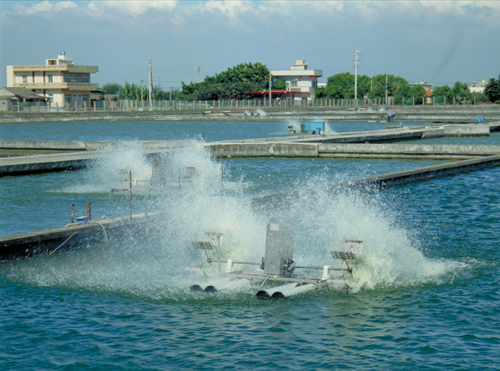 國家文化記憶庫收錄的養殖魚塭圖像