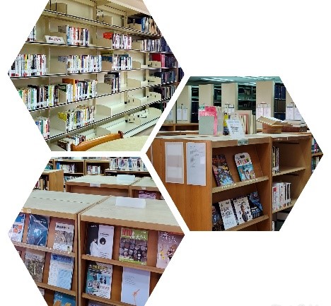 Library Subsection