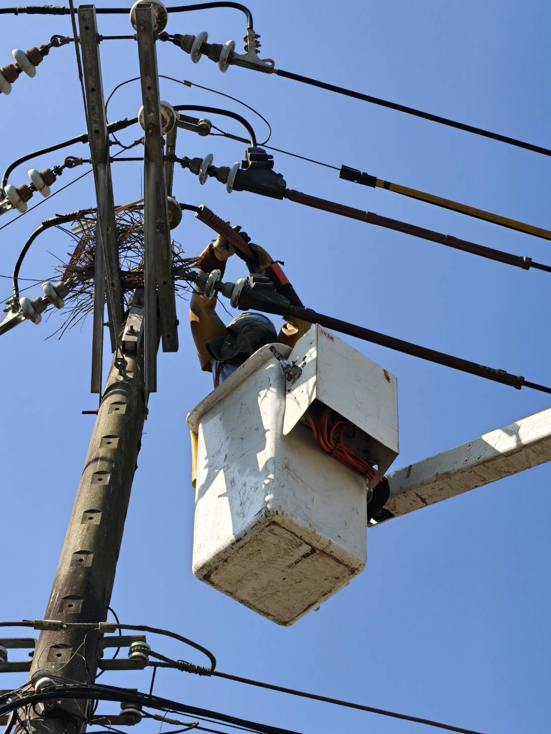 北南區處同仁執行鳥巢摘除作業，為降低線路停電事故