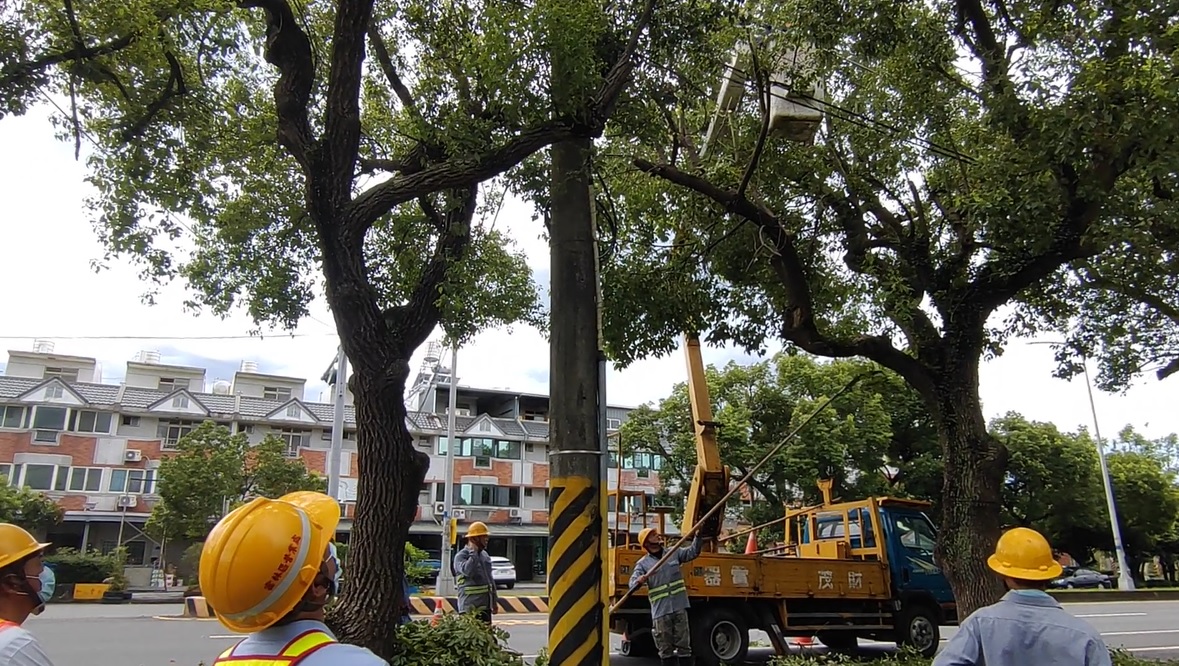 ”鄰近配電設備線路樹木修剪”