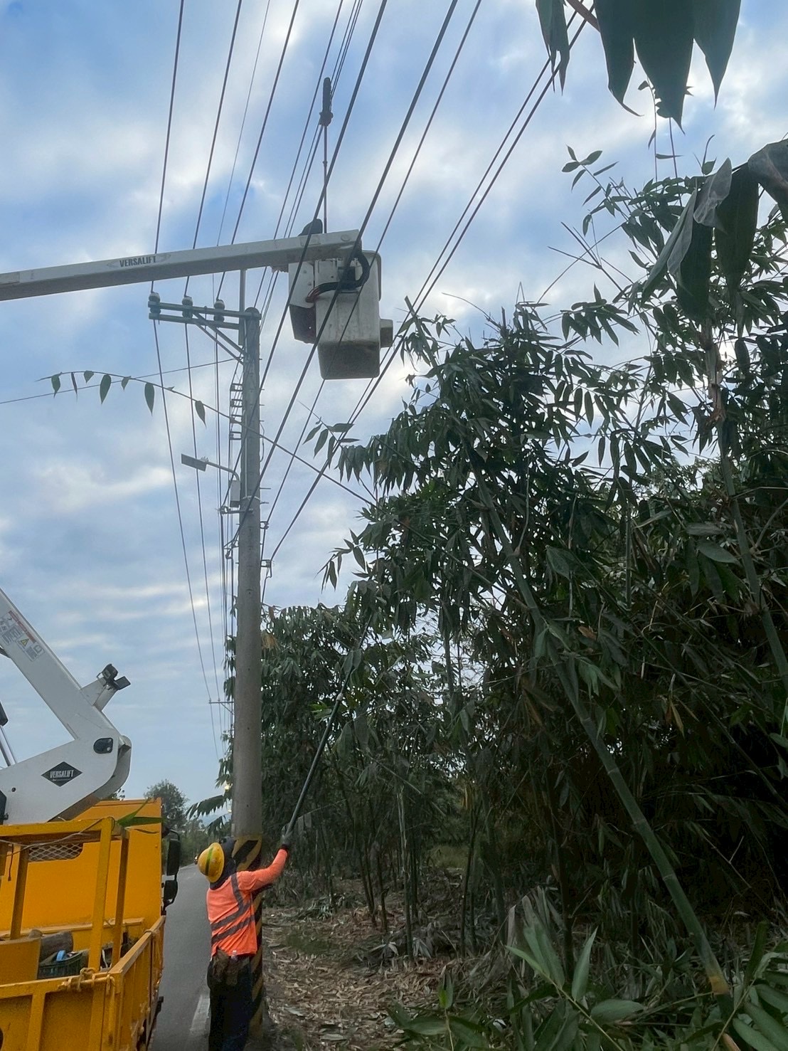 ”臨近線路樹木修剪，避免樹木倒斷影響供電”