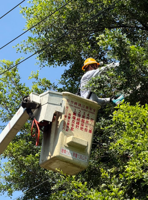 ”北西區處已出動94人加強臨時樹修作業”