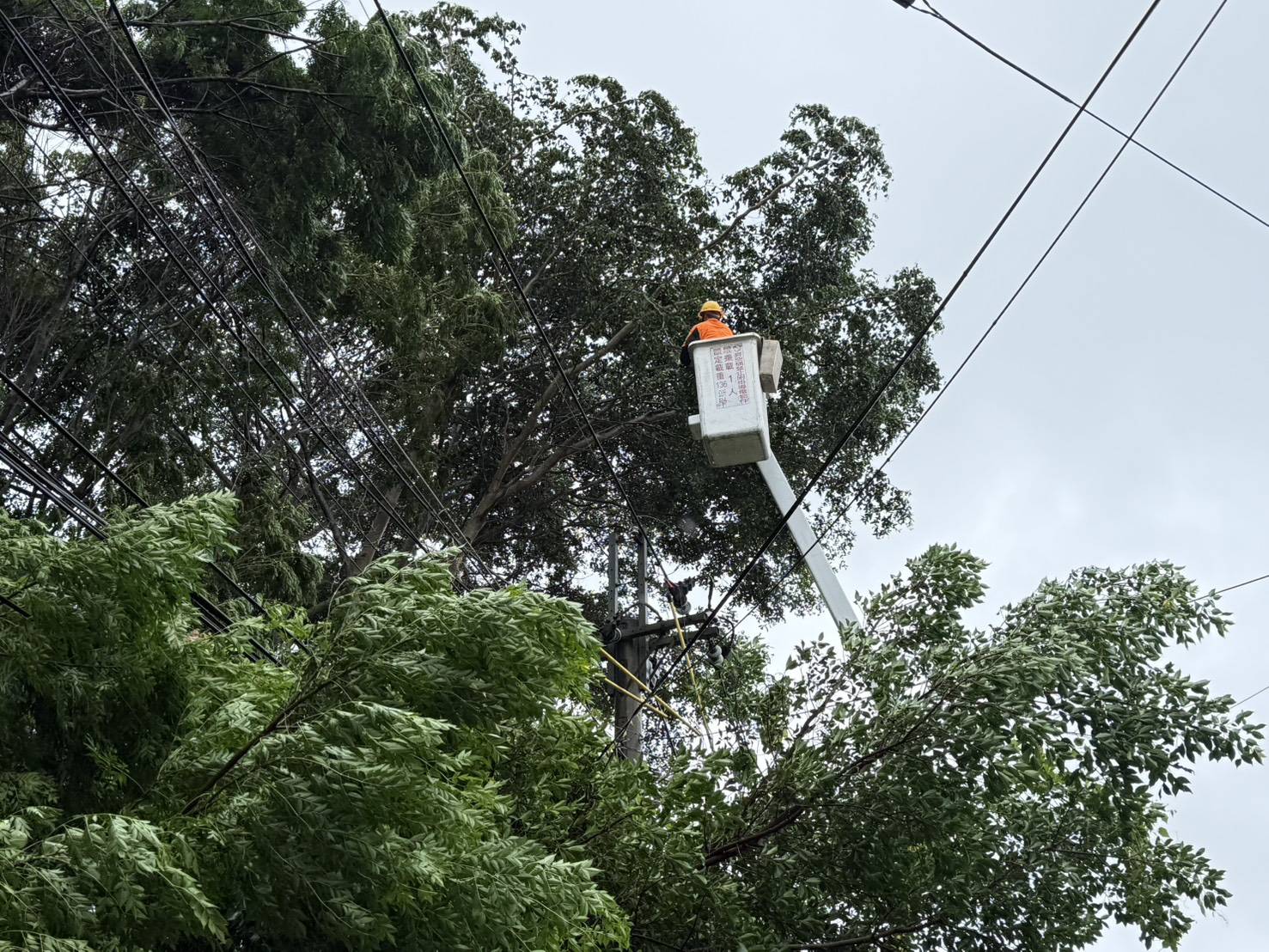 台電積極搶修中