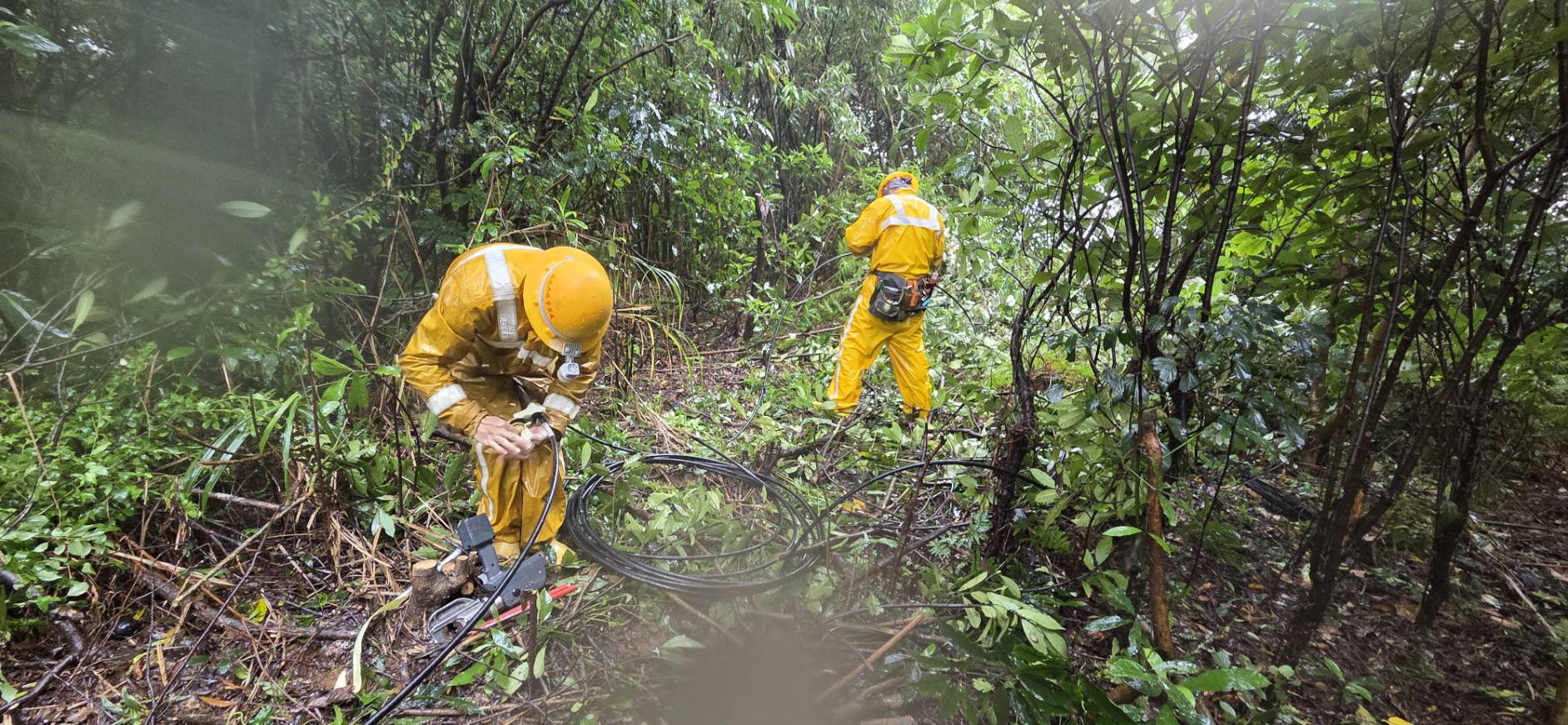 ”北西區處工程人員更換遭樹木碰觸損害之設備，積極槍修恢復電力供應