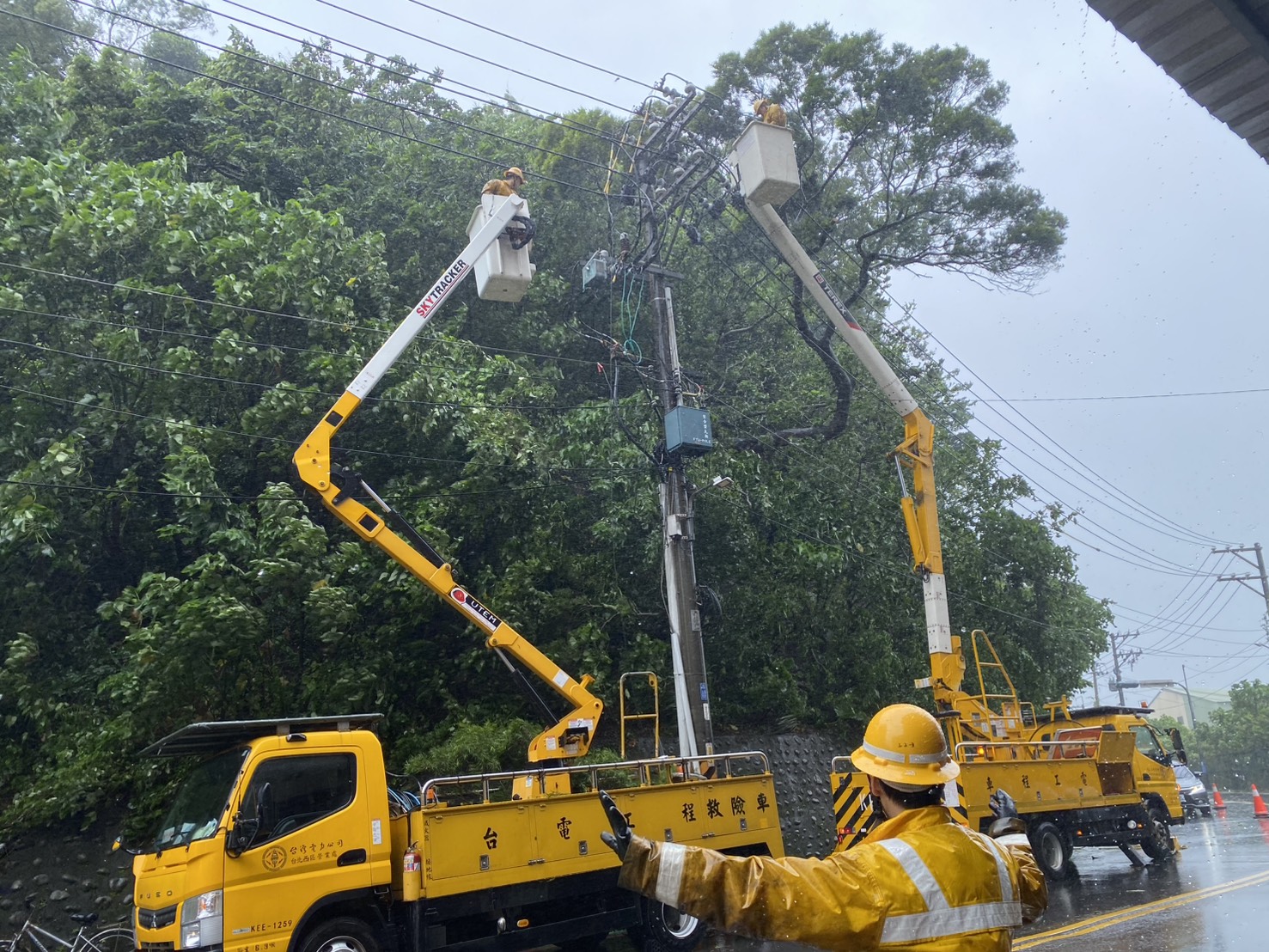 ”北西區處工程人員更換遭樹木碰觸損害之設備，積極槍修恢復電力供應