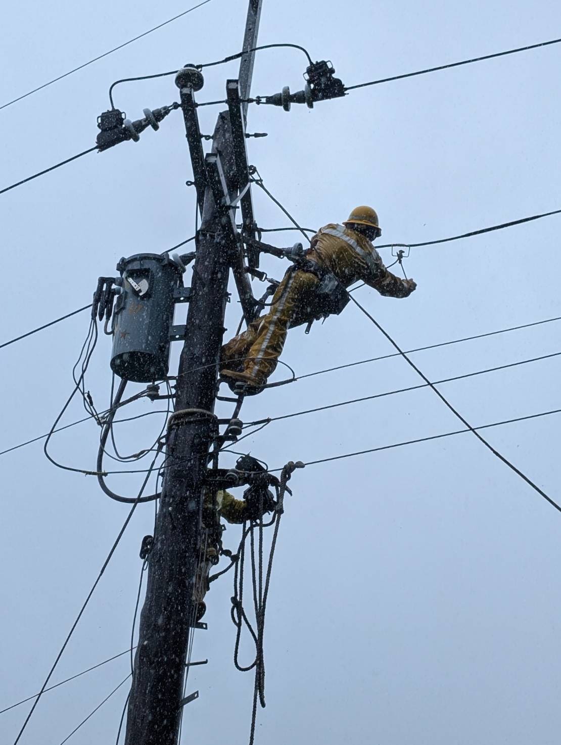 ”北西區處工程人員於電桿上進行搶修作業”