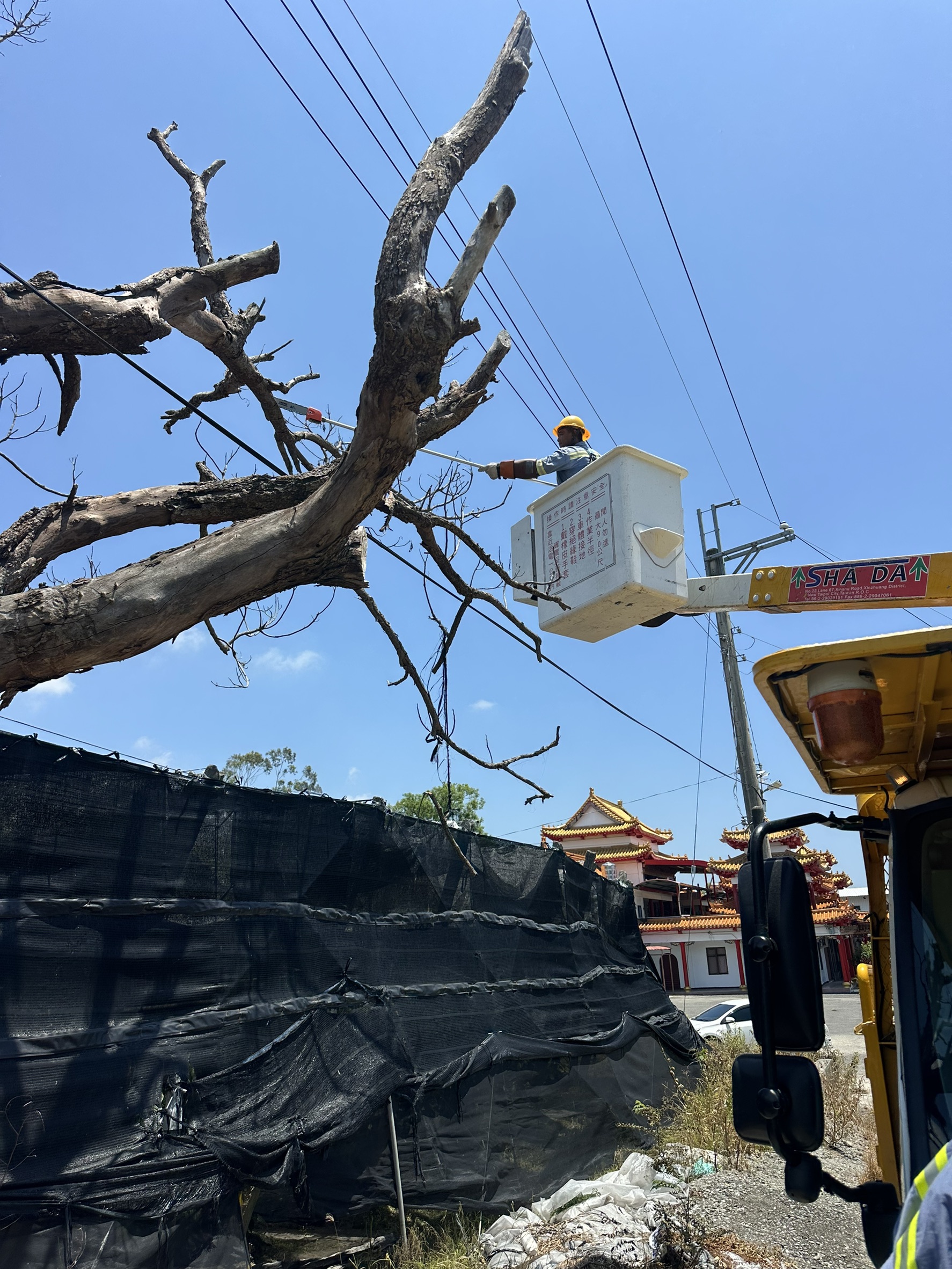 台電台東區處提前完成樹木修剪，避免樹木倒塌影響用電安全。