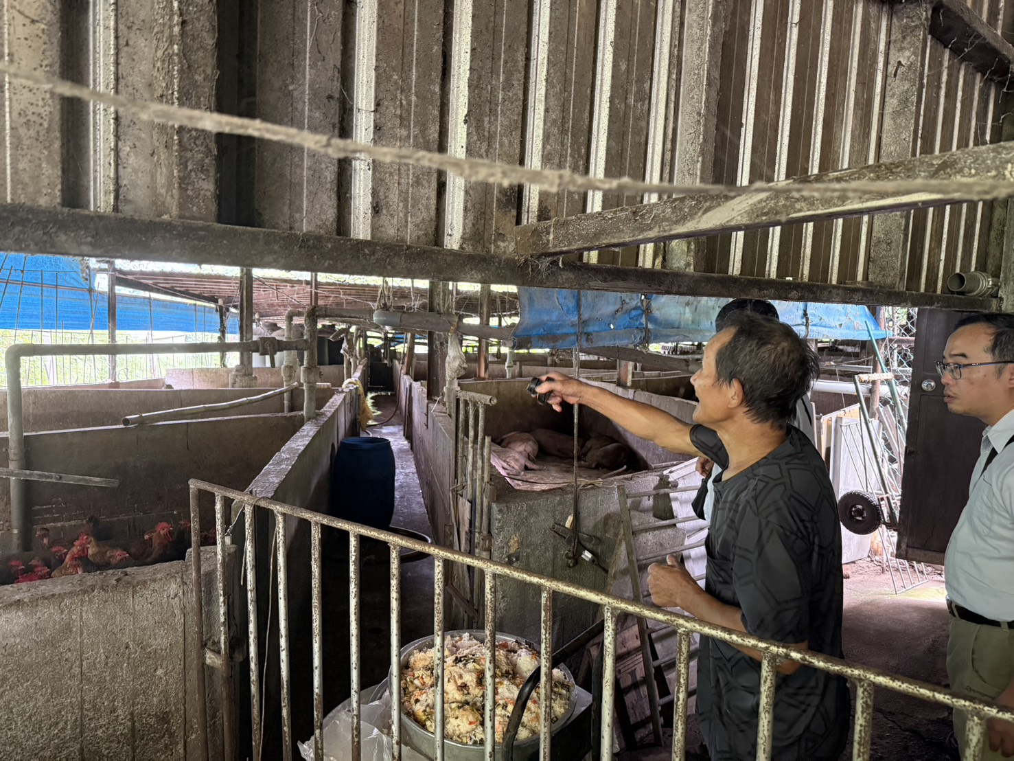 ”台電北西區營業處人員巡視畜牧場環境，確保不會因停電造成通風設備停擺而導致畜禽死亡的風險”