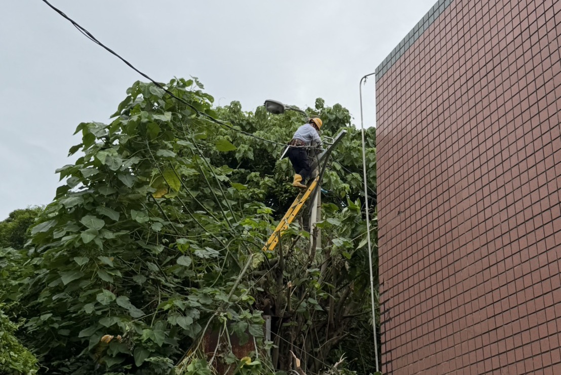 台電北西區處人員修剪樹枝維護設備，確保颱風期間電力穩定供應