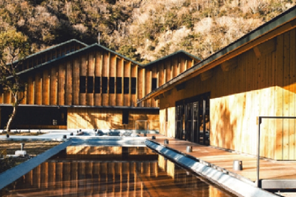 萬大電廠｜守護台灣大豆，打造生態山林